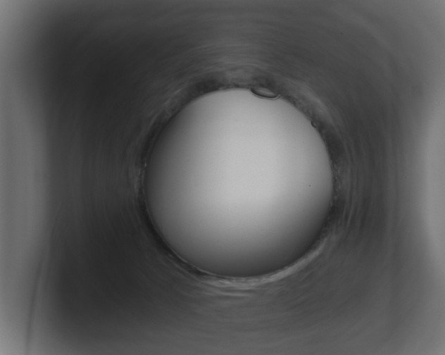 X0000101950033200807180712