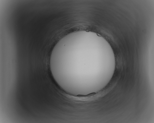 X0000101950034200807180712