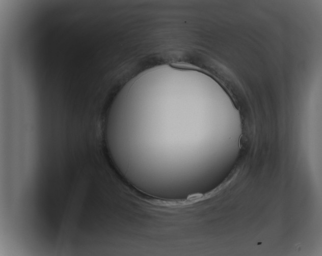 X0000101950037200807180712