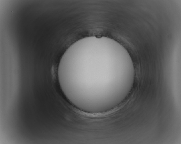 X0000101950038200807180711