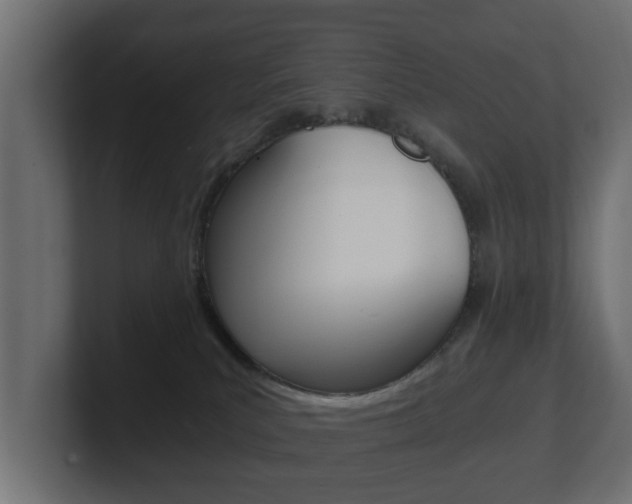 X0000101950039200807180711