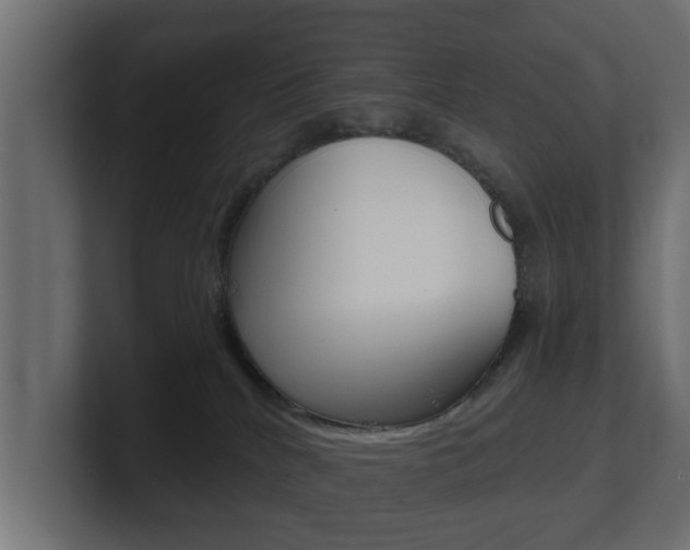 X0000101950040200807180711