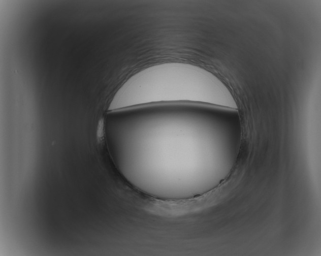 X0000101950041200807180711