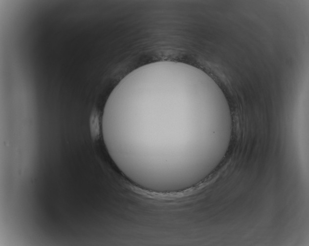 X0000101950042200807180711