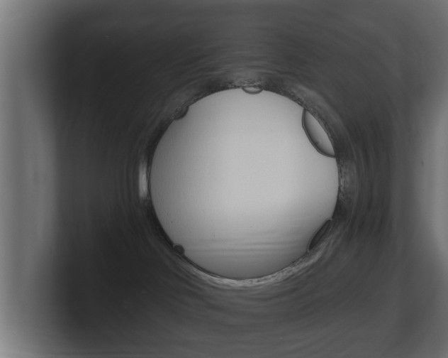 X0000101950046200807180711