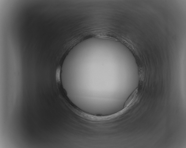 X0000101950047200807180711