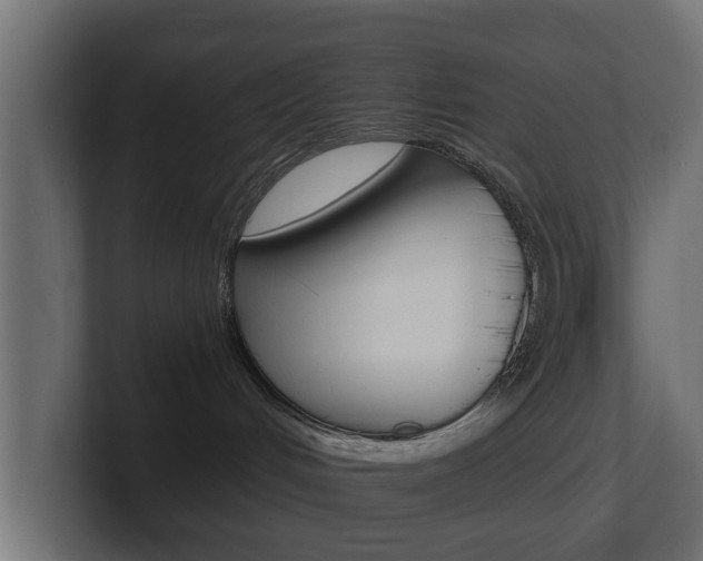 X0000101950048200807180711