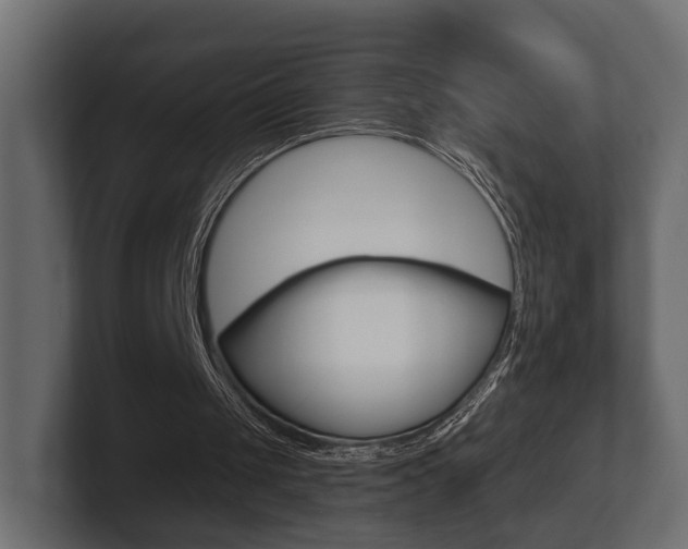 X0000101950049200807180711