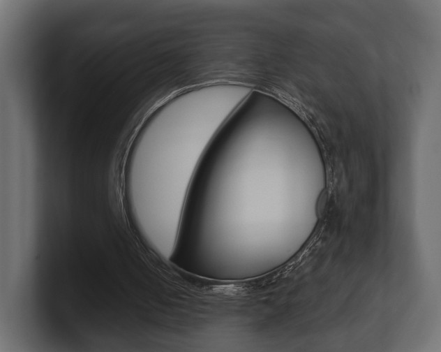 X0000101950050200807180711