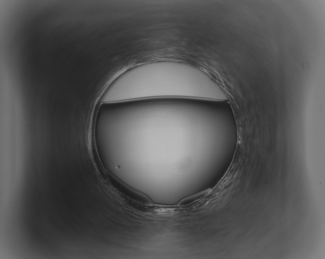 X0000101950052200807180711