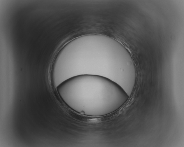 X0000101950053200807180711