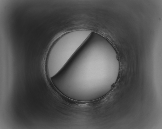 X0000101950054200807180711