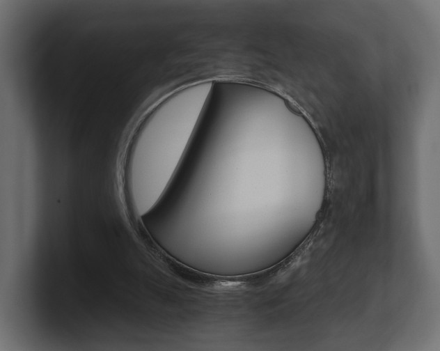 X0000101950055200807180711