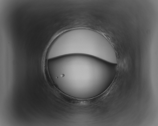 X0000101950056200807180711