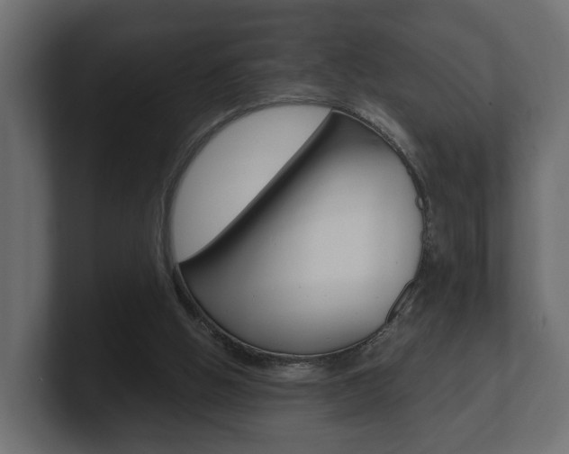 X0000101950058200807180711