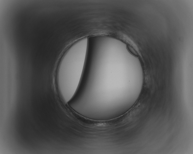 X0000101950059200807180711