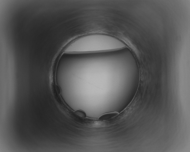 X0000101950060200807180711