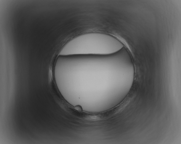 X0000101950061200807180711