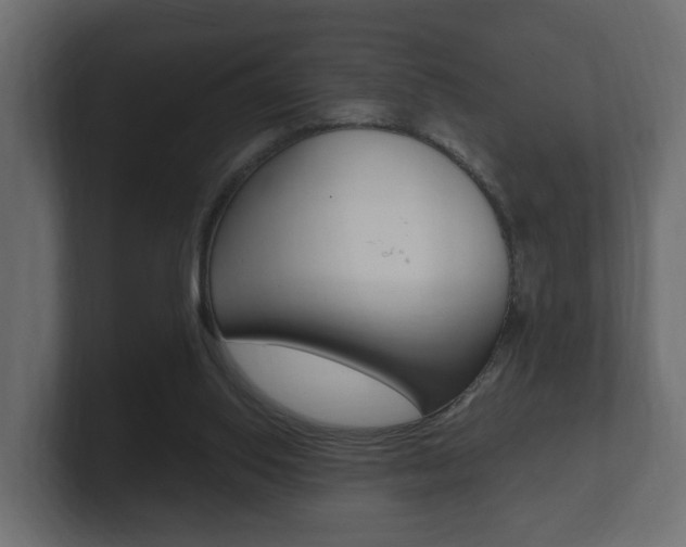 X0000101950062200807180711