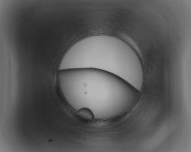 X0000101950065200807180711