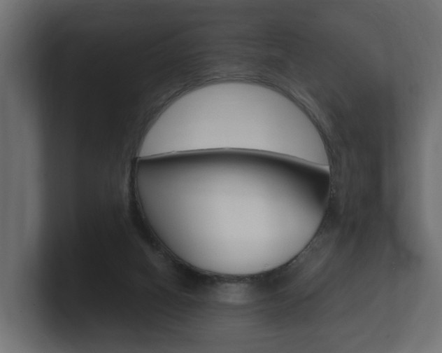 X0000101950066200807180711