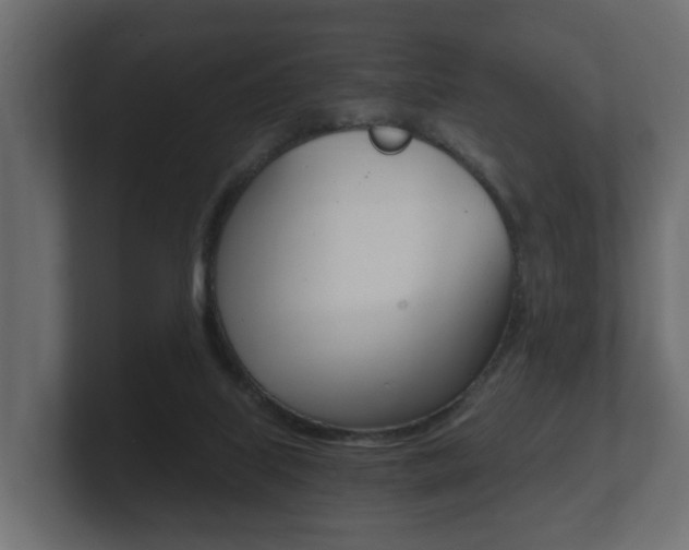 X0000101950067200807180711