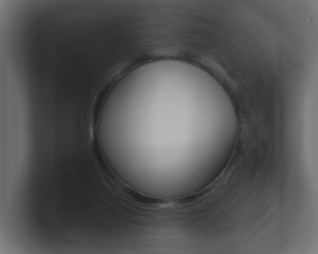 X0000101950068200807180711