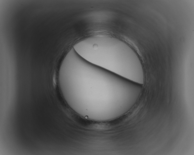 X0000101950069200807180711