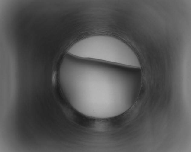 X0000101950070200807180711