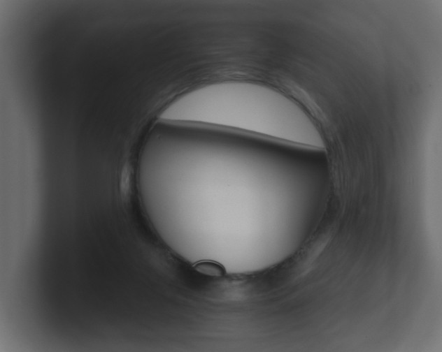 X0000101950071200807180711