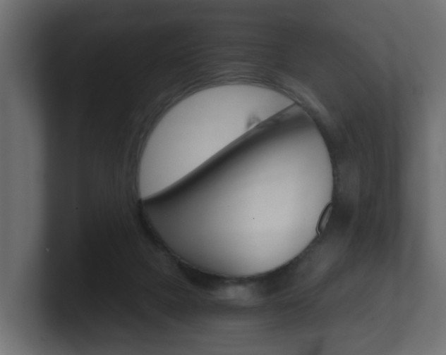 X0000101950073200807180711