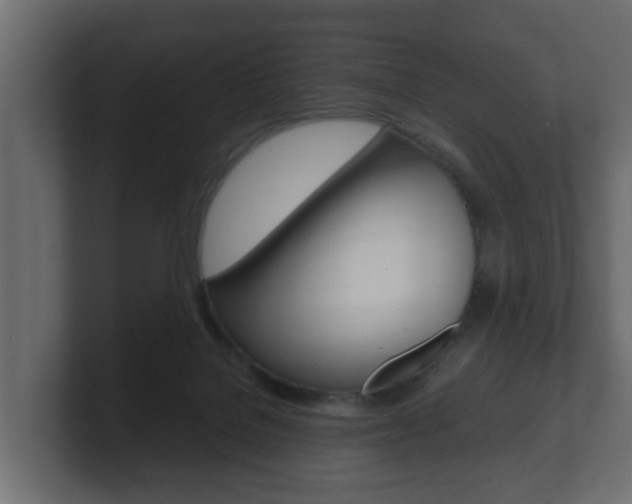 X0000101950076200807180711