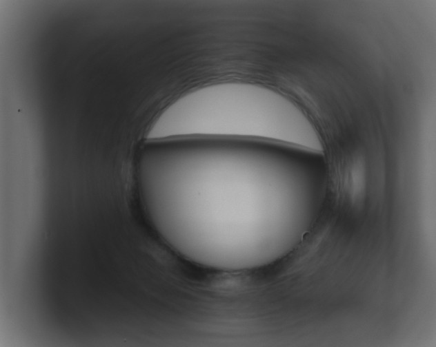 X0000101950077200807180711