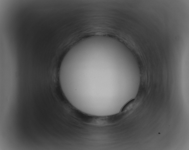 X0000101950078200807180711