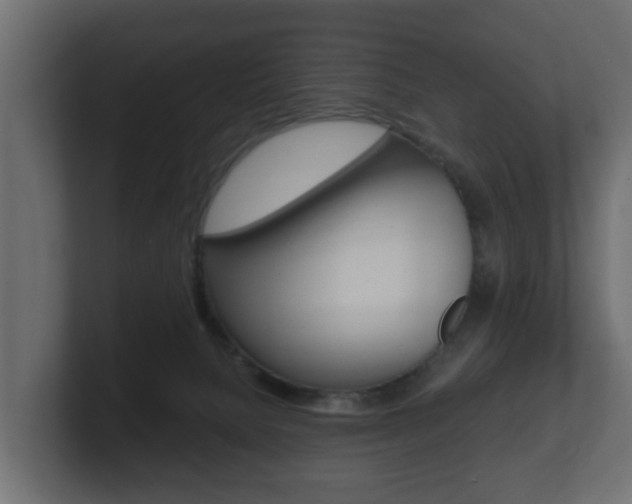 X0000101950080200807180711