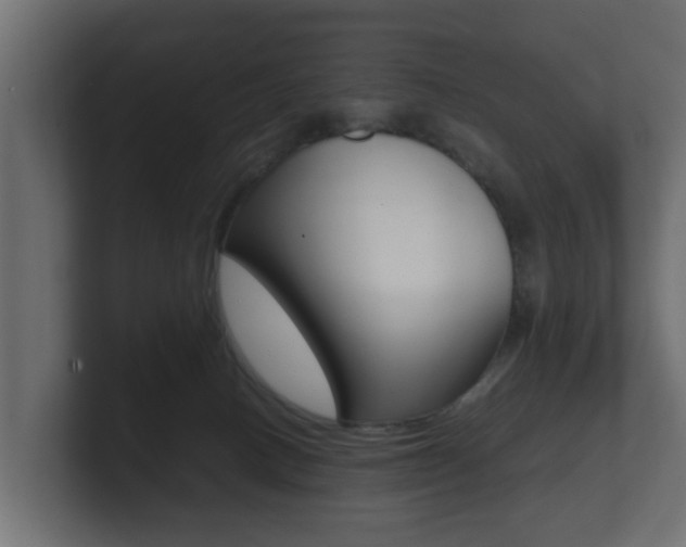 X0000101950082200807180711