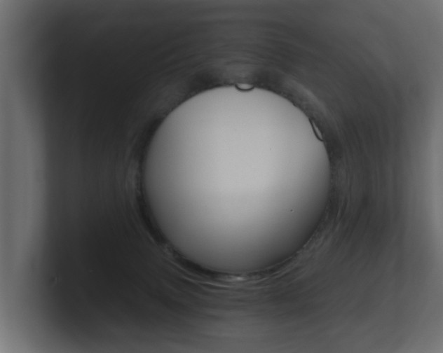 X0000101950083200807180711