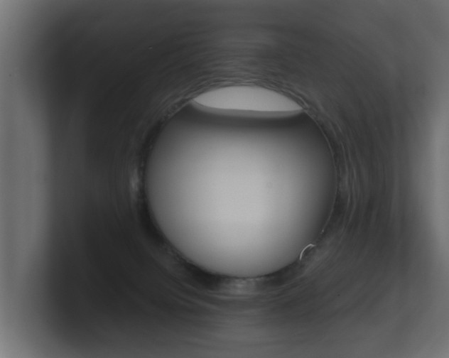 X0000101950084200807180711