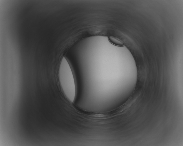 X0000101950085200807180711