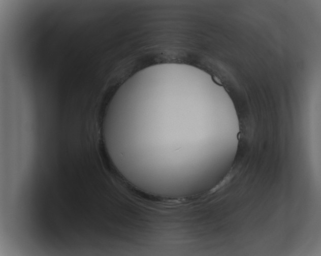 X0000101950086200807180711