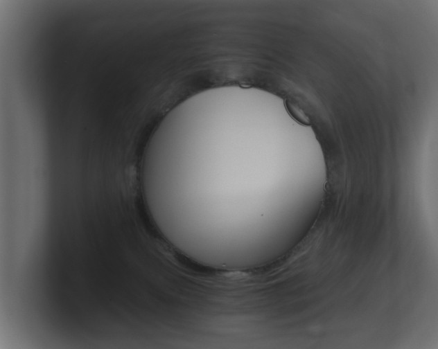 X0000101950087200807180711