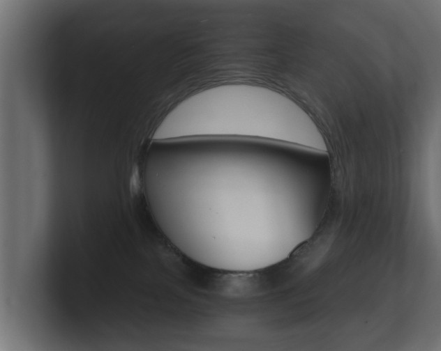 X0000101950089200807180711