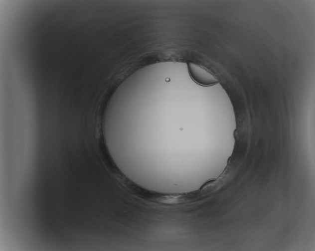 X0000101950090200807180711