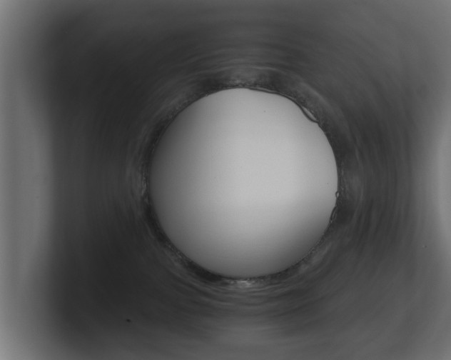 X0000101950091200807180711