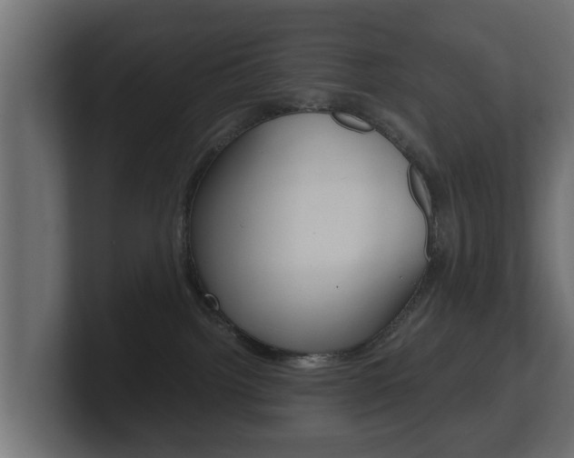 X0000101950092200807180711