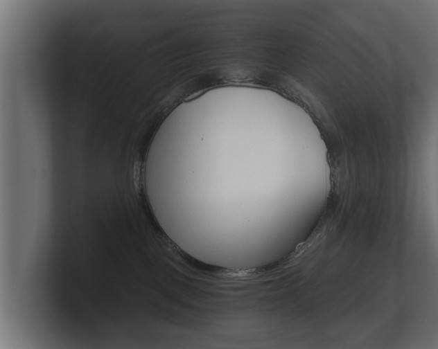 X0000101950093200807180711