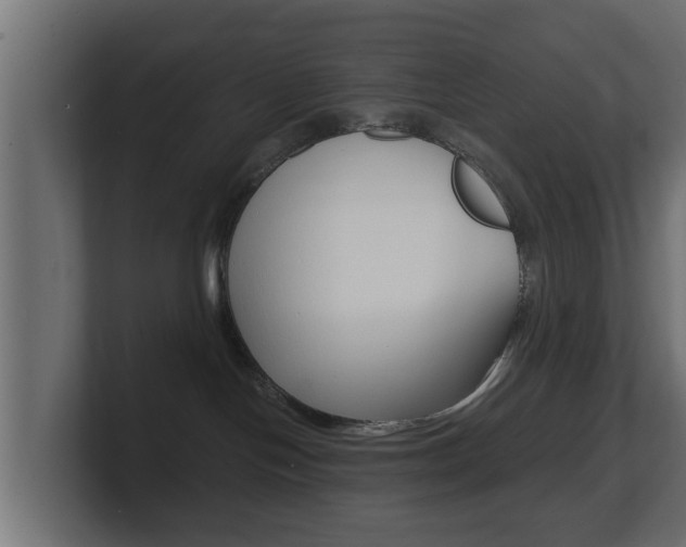 X0000101950094200807180711