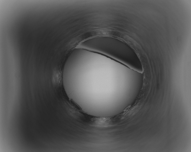 X0000101950096200807180711