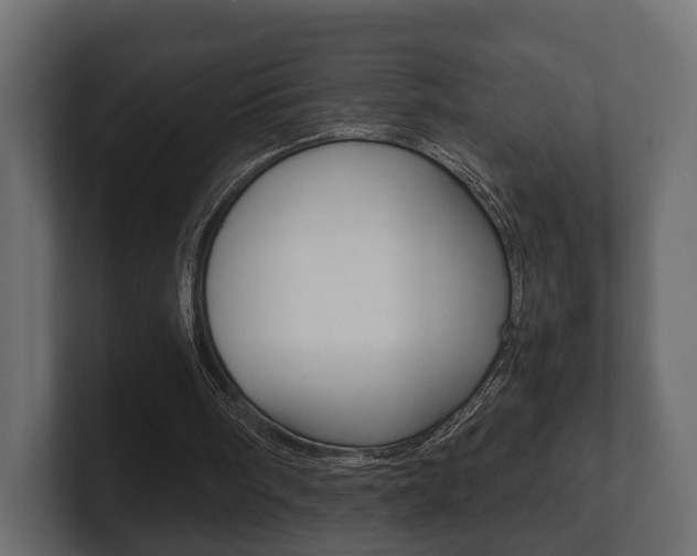 X0000101950098200807180711