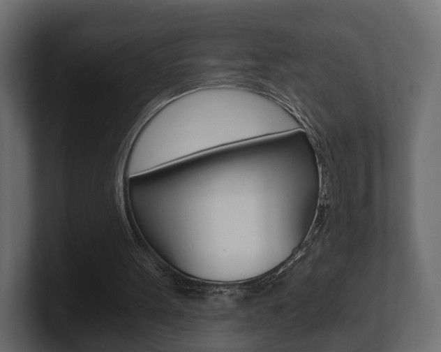 X0000101950099200807180711